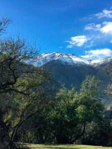 Fuente: Canva