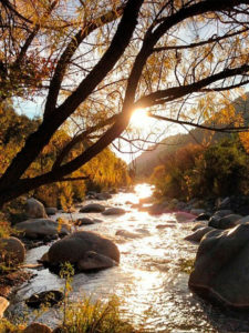 Fuente: Canva