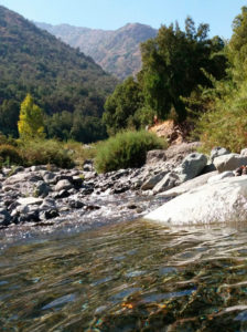 Fuente: Canva