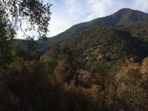 Fuente: Canva
