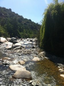 Fuente: Canva