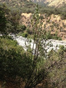 Fuente: Canva