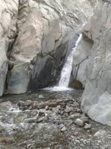 Fuente: Canva